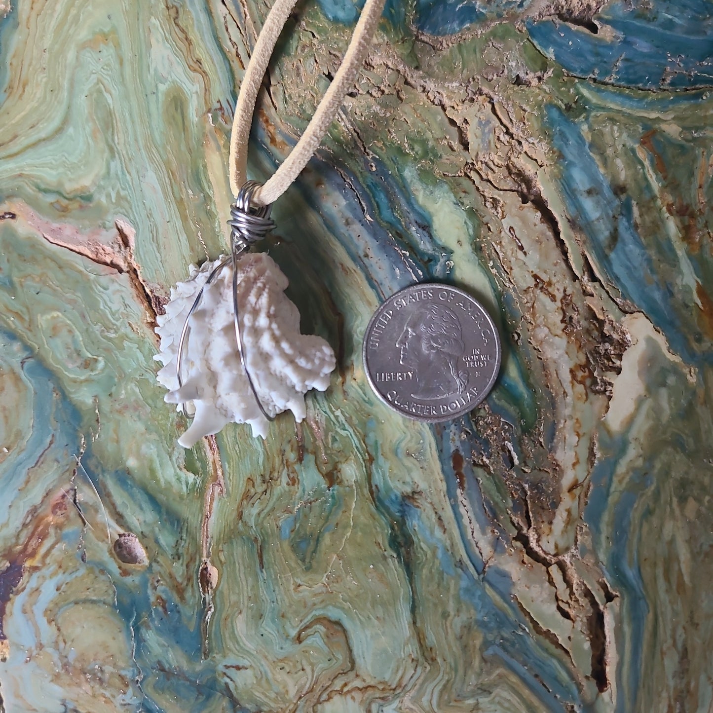 Spiny Jewel Box Shell Necklace