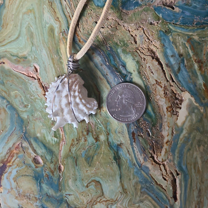 Spiny Jewel Box Shell Necklace