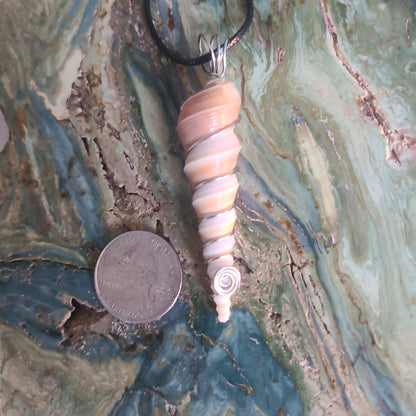 Wrapped Screw Shell Necklace