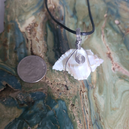 Mermaid Murex Shell Necklace