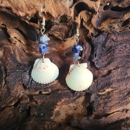 White Scallop Shell with Blue Accent Earrings