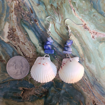 White Scallop Shell with Blue Accent Earrings