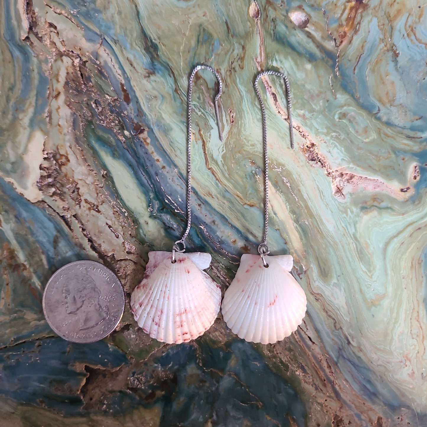 White Scallop Shell Dangle Earrings