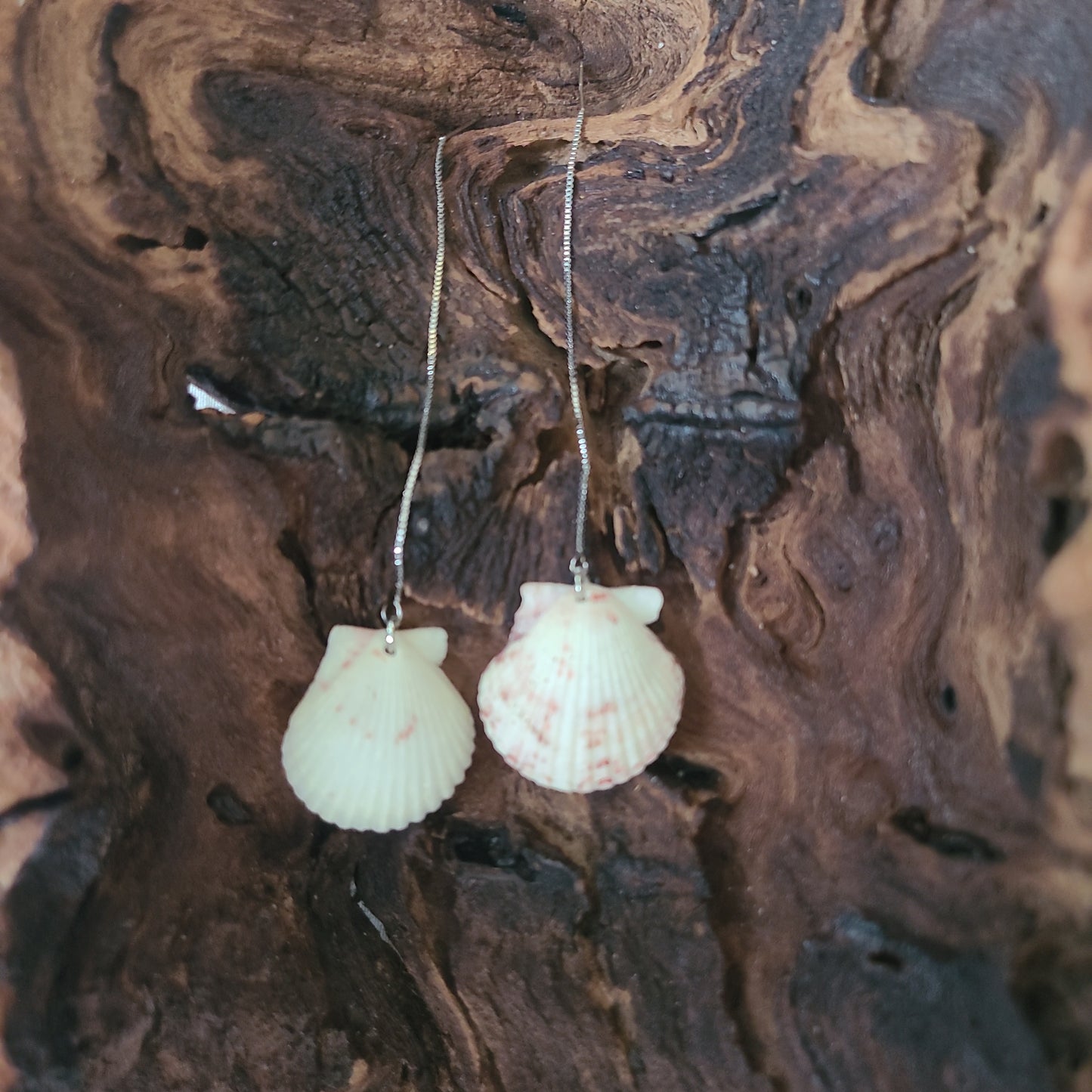 White Scallop Shell Dangle Earrings