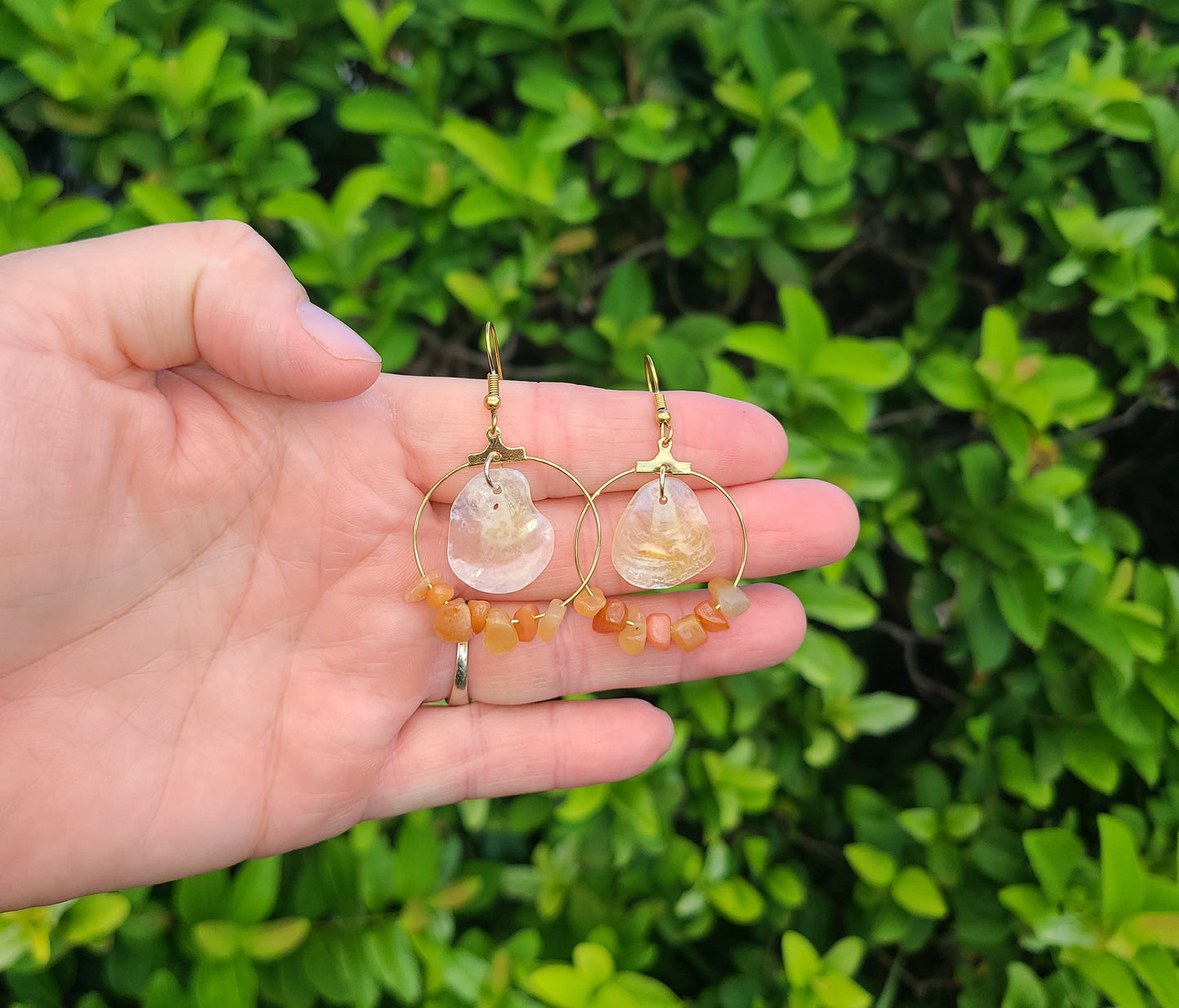 Elegant Cream Jingle Shell and Amber Colored Stone Hoop Earrings