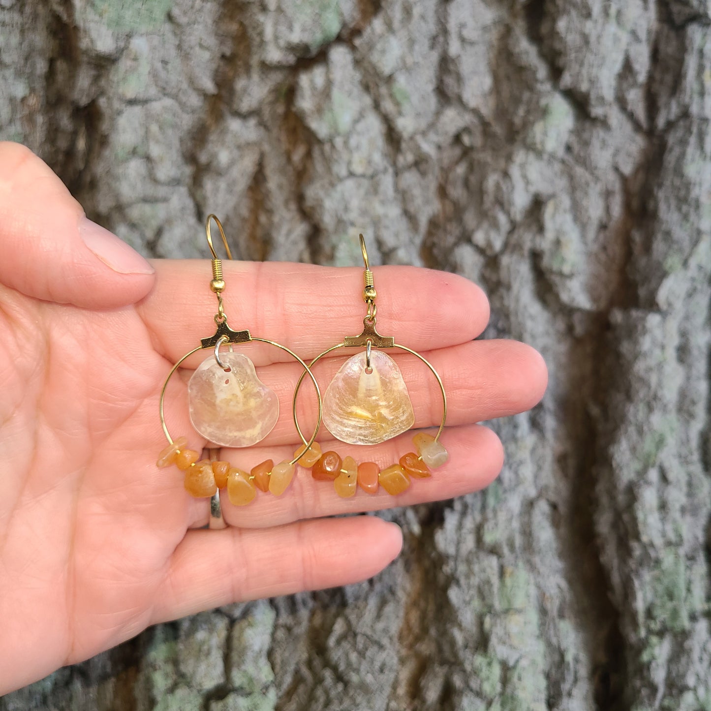 Elegant Cream Jingle Shell and Amber Colored Stone Hoop Earrings