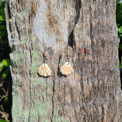 Adorable Cat Paw Shell Drop Earrings