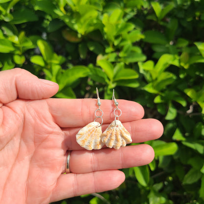 Adorable Cat Paw Shell Drop Earrings