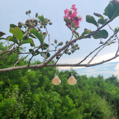 Adorable Cat Paw Shell Drop Earrings