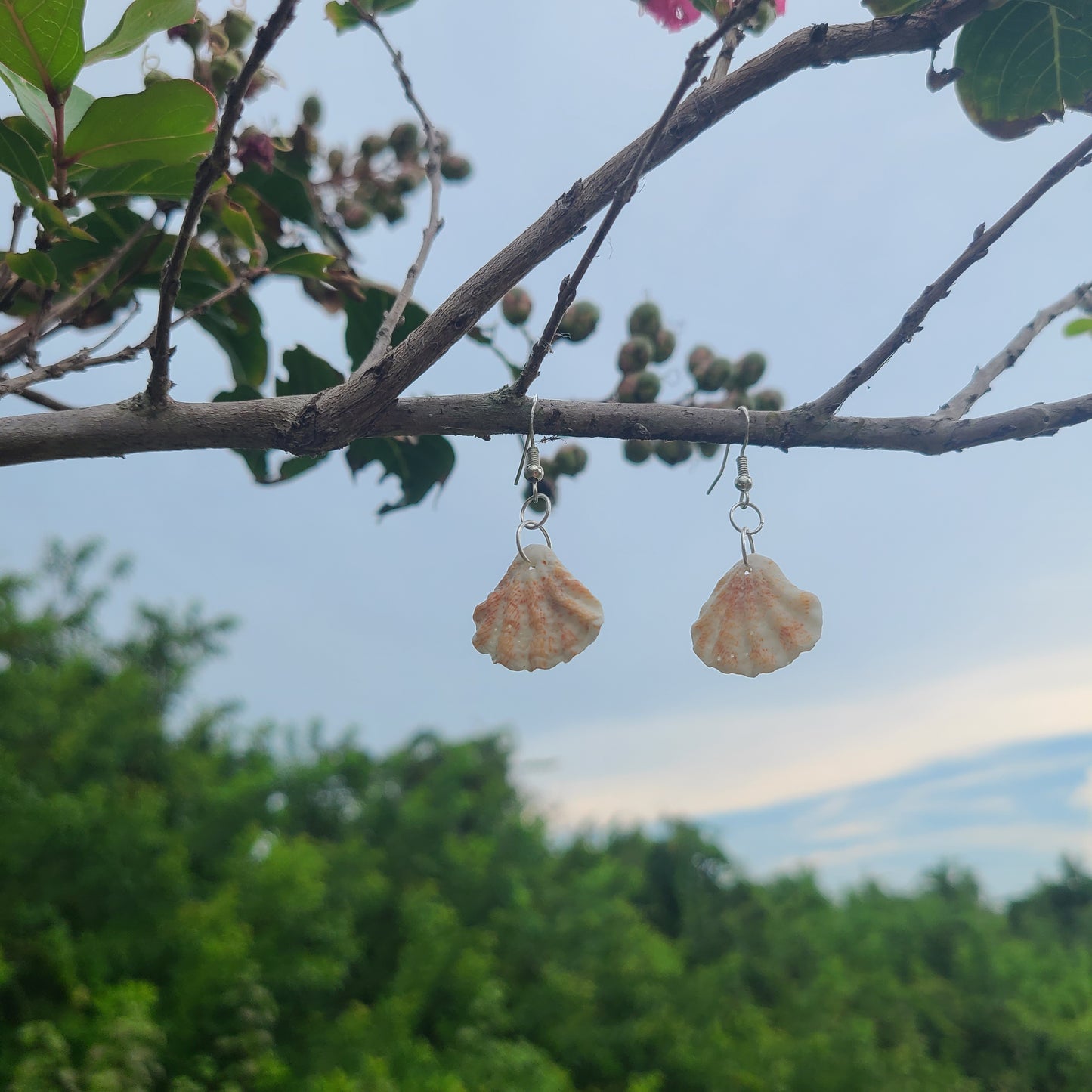 Adorable Cat Paw Shell Drop Earrings