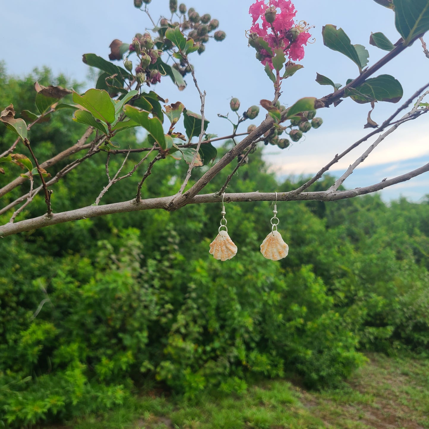 Adorable Cat Paw Shell Drop Earrings