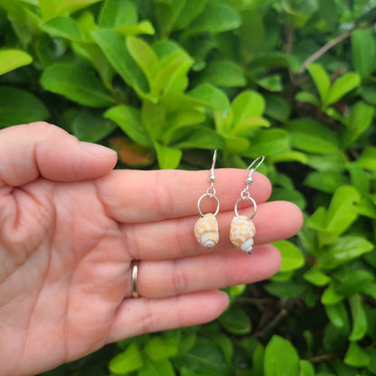 Dainty Giraffe Babylonia Drop Shell Earrings