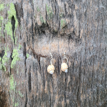 Dainty Giraffe Babylonia Drop Shell Earrings