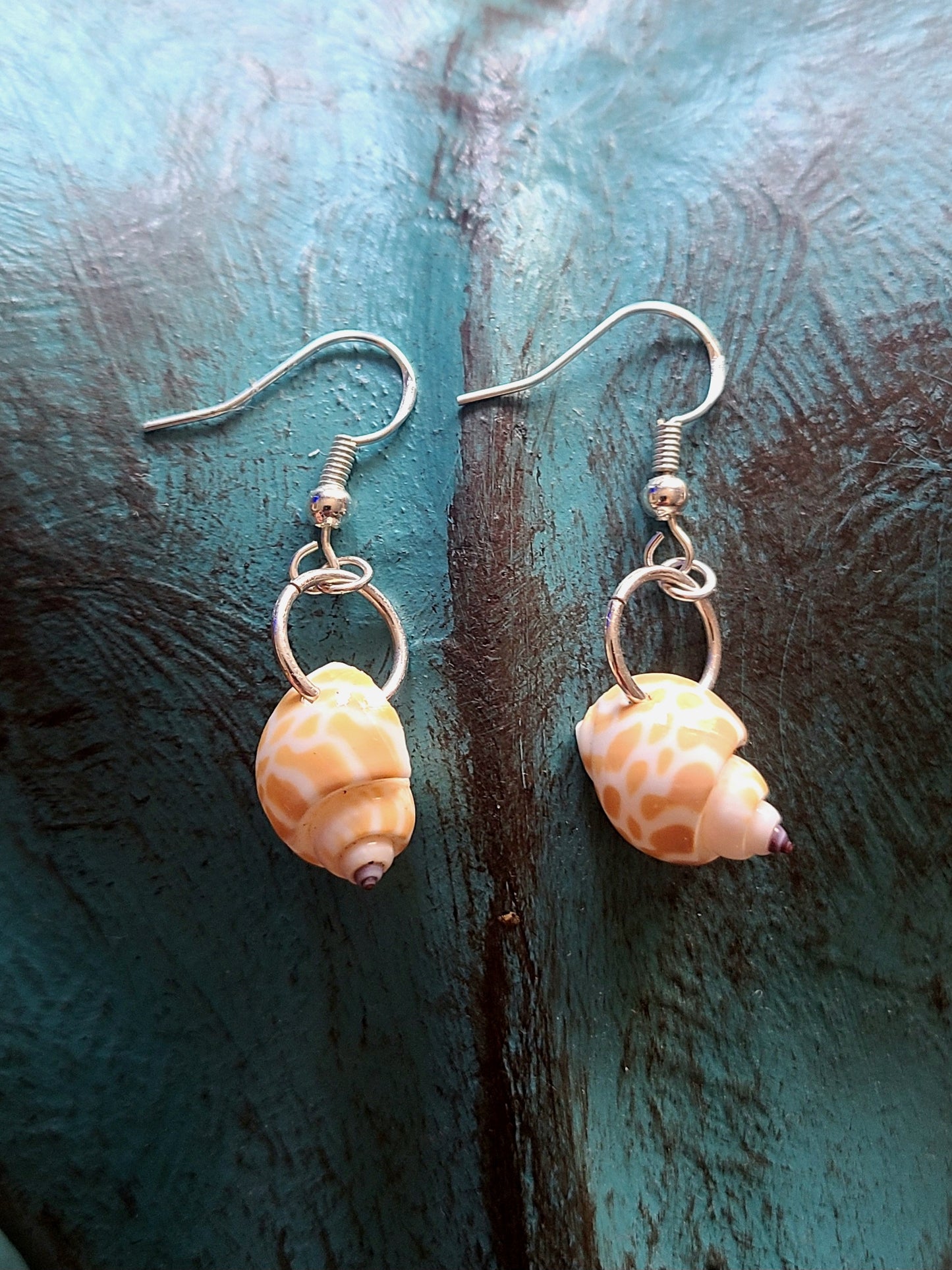 Dainty Giraffe Babylonia Drop Shell Earrings