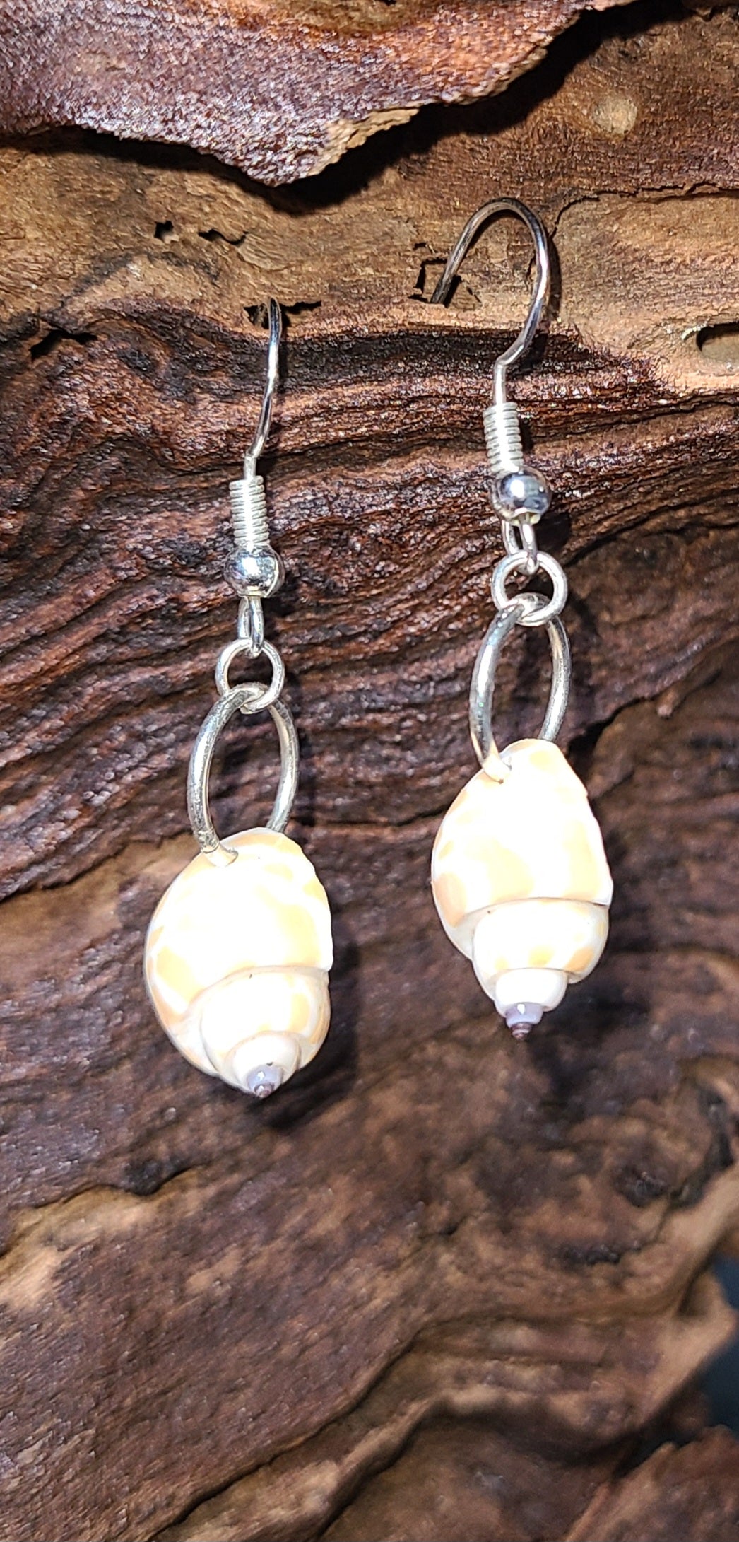 Dainty Giraffe Babylonia Drop Shell Earrings