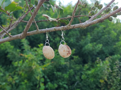 Florida Cockle Shell Drop Earrings