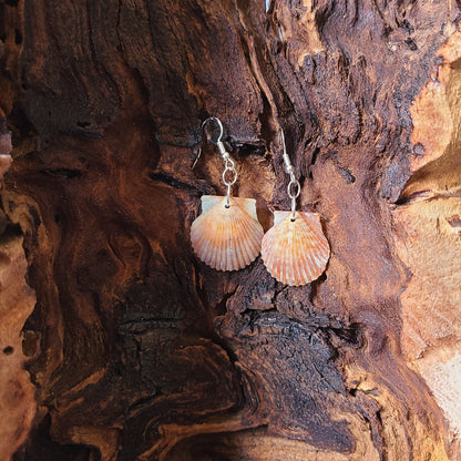 Burnt Orange Bay Scallop Shell Drop Earrings