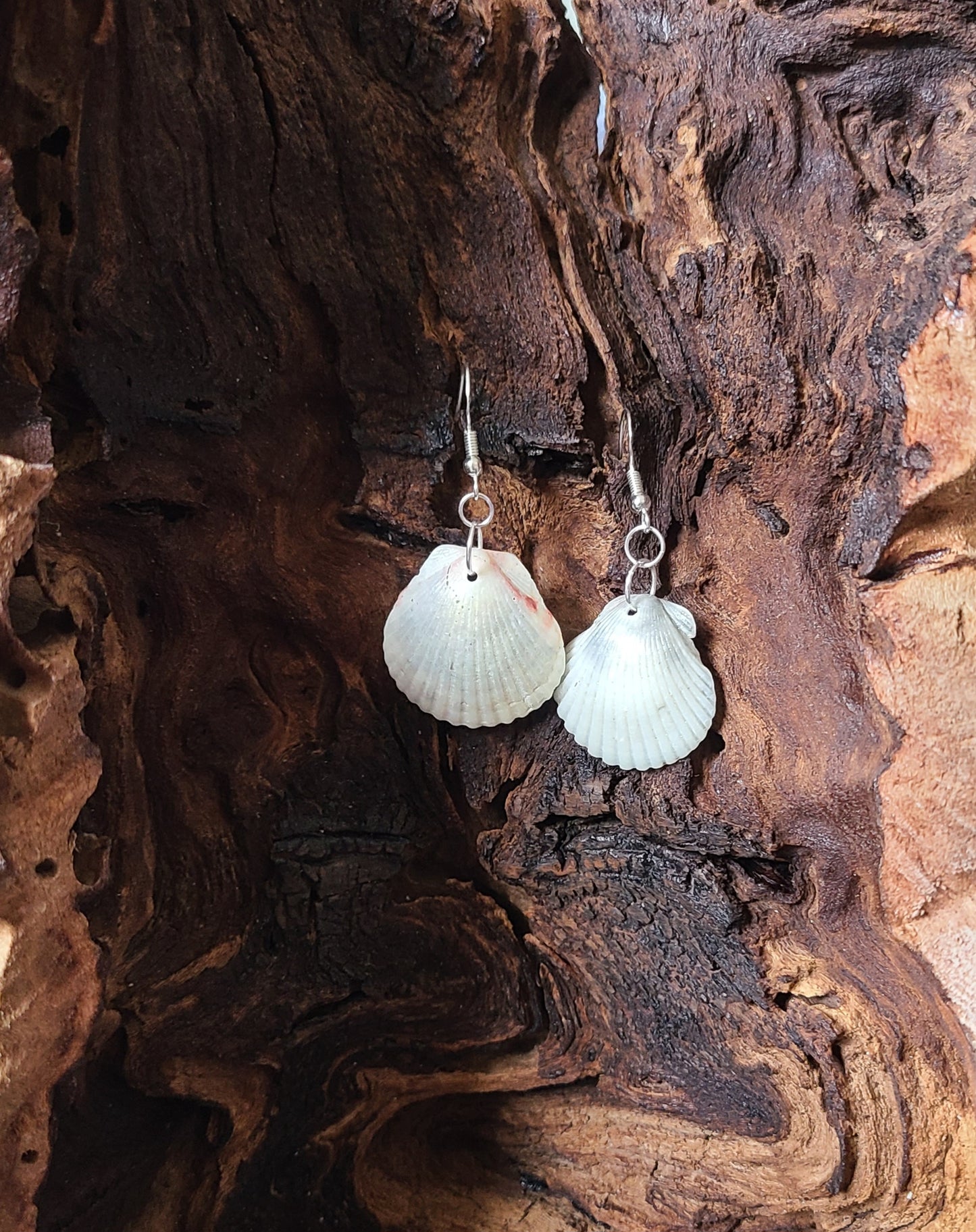 Cream & Gray Scallop Shell Drop Earrings