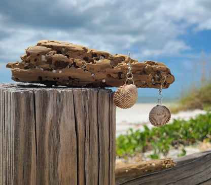 Florida Cockle Shell Drop Earrings