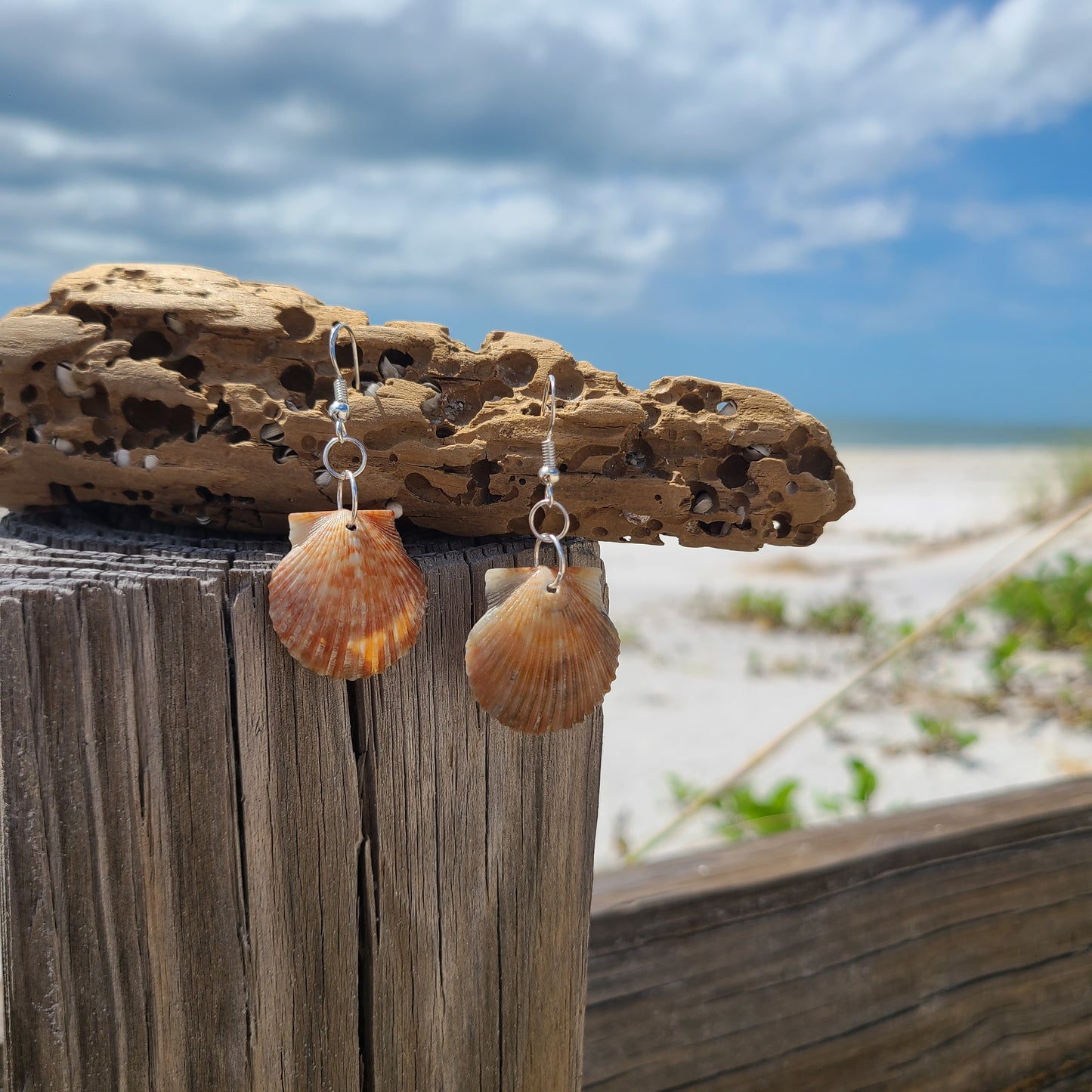 Burnt Orange Bay Scallop Shell Drop Earrings