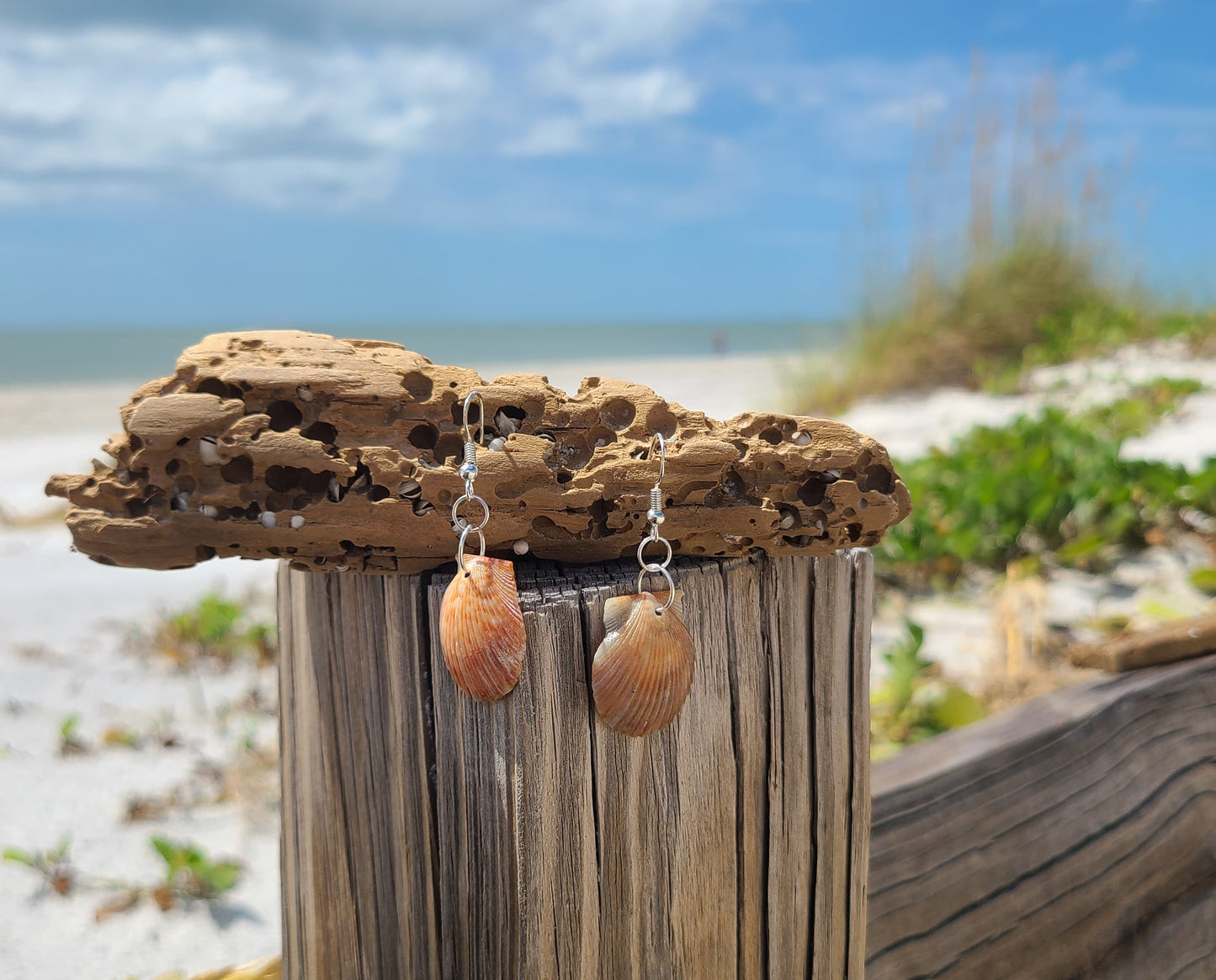 Burnt Orange Bay Scallop Shell Drop Earrings