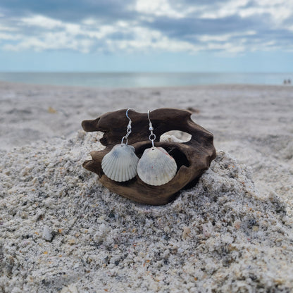 Cream & Gray Scallop Shell Drop Earrings