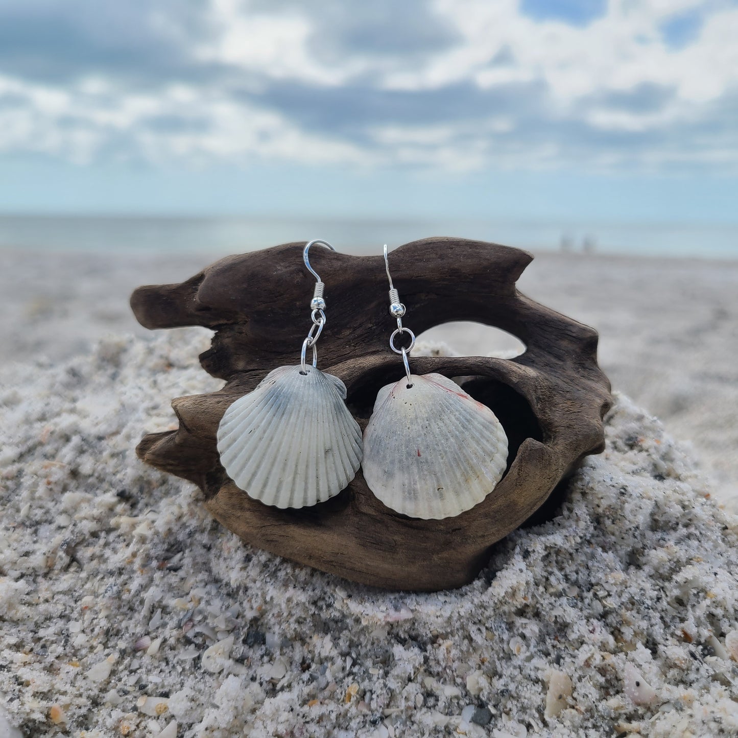 Cream & Gray Scallop Shell Drop Earrings