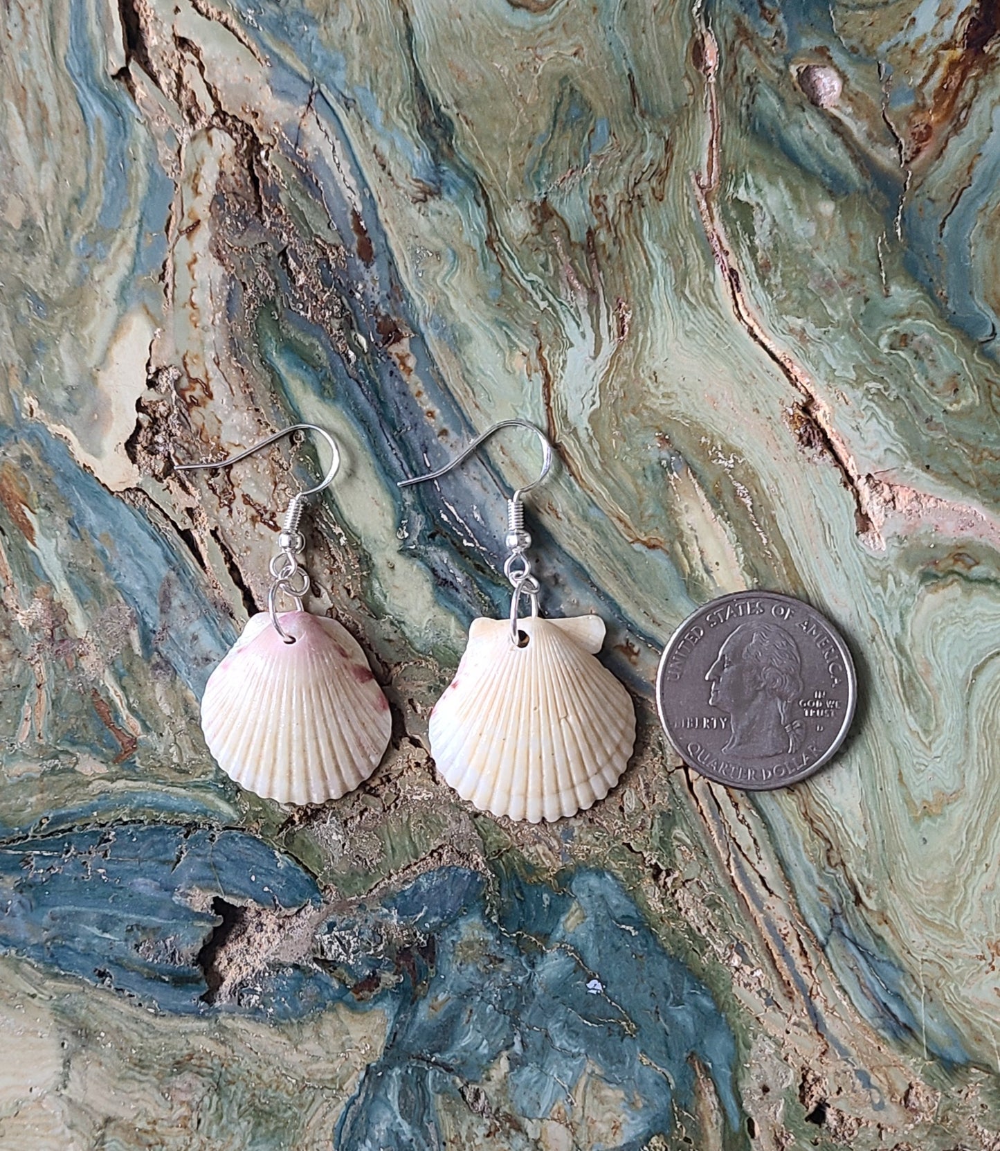 Cream or White Scallop Shell Dangle Earrings