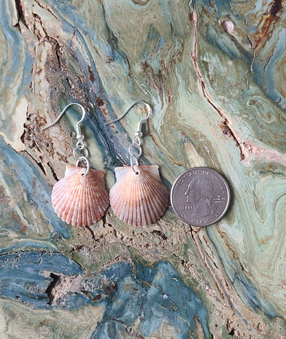 Burnt Orange Bay Scallop Shell Drop Earrings