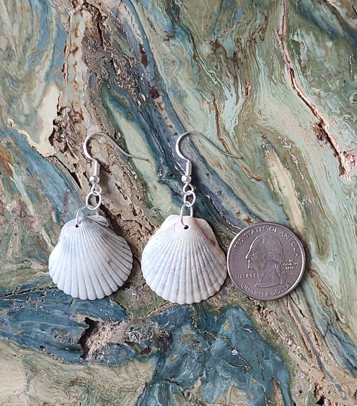 Cream & Gray Scallop Shell Drop Earrings