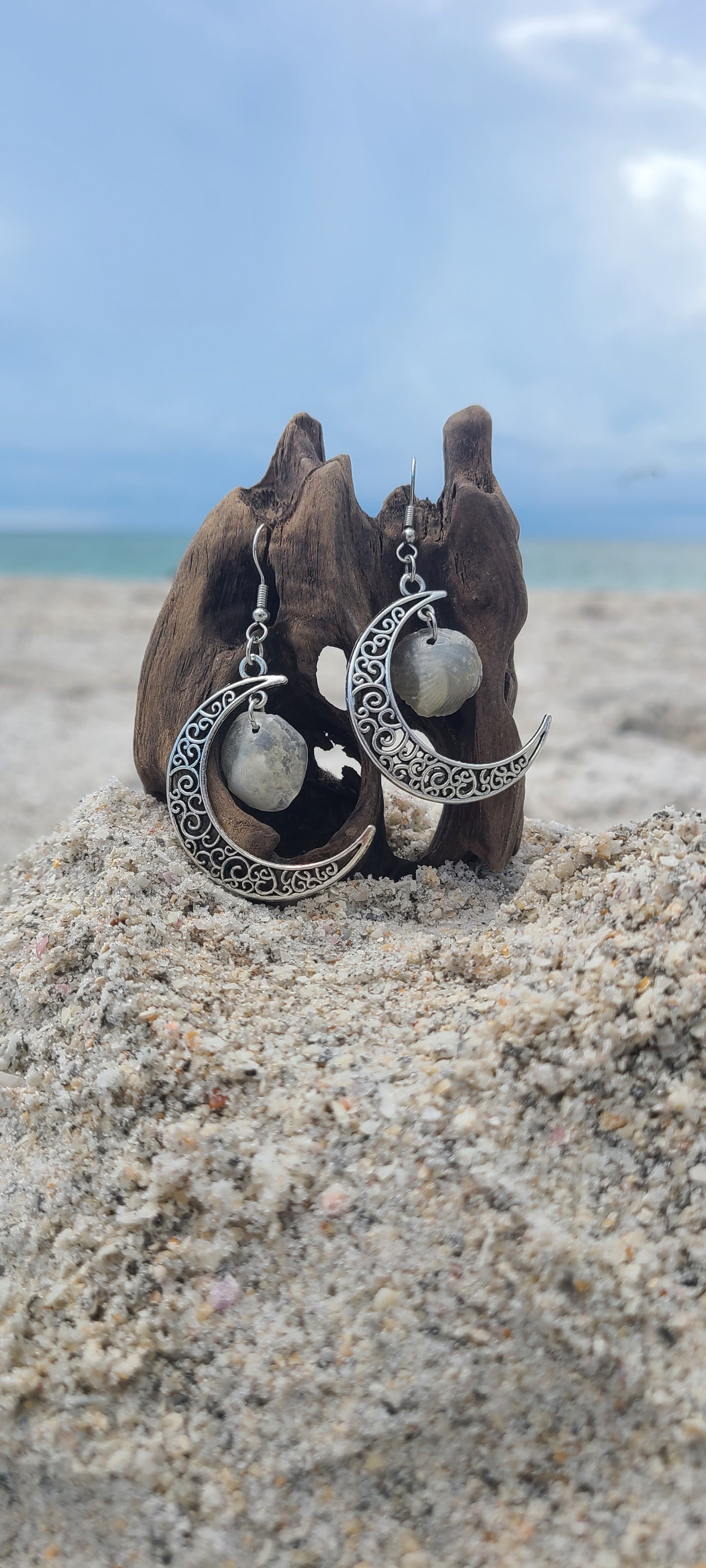 Stunning Cream Jingle Shell Moon Dangle Earrings.