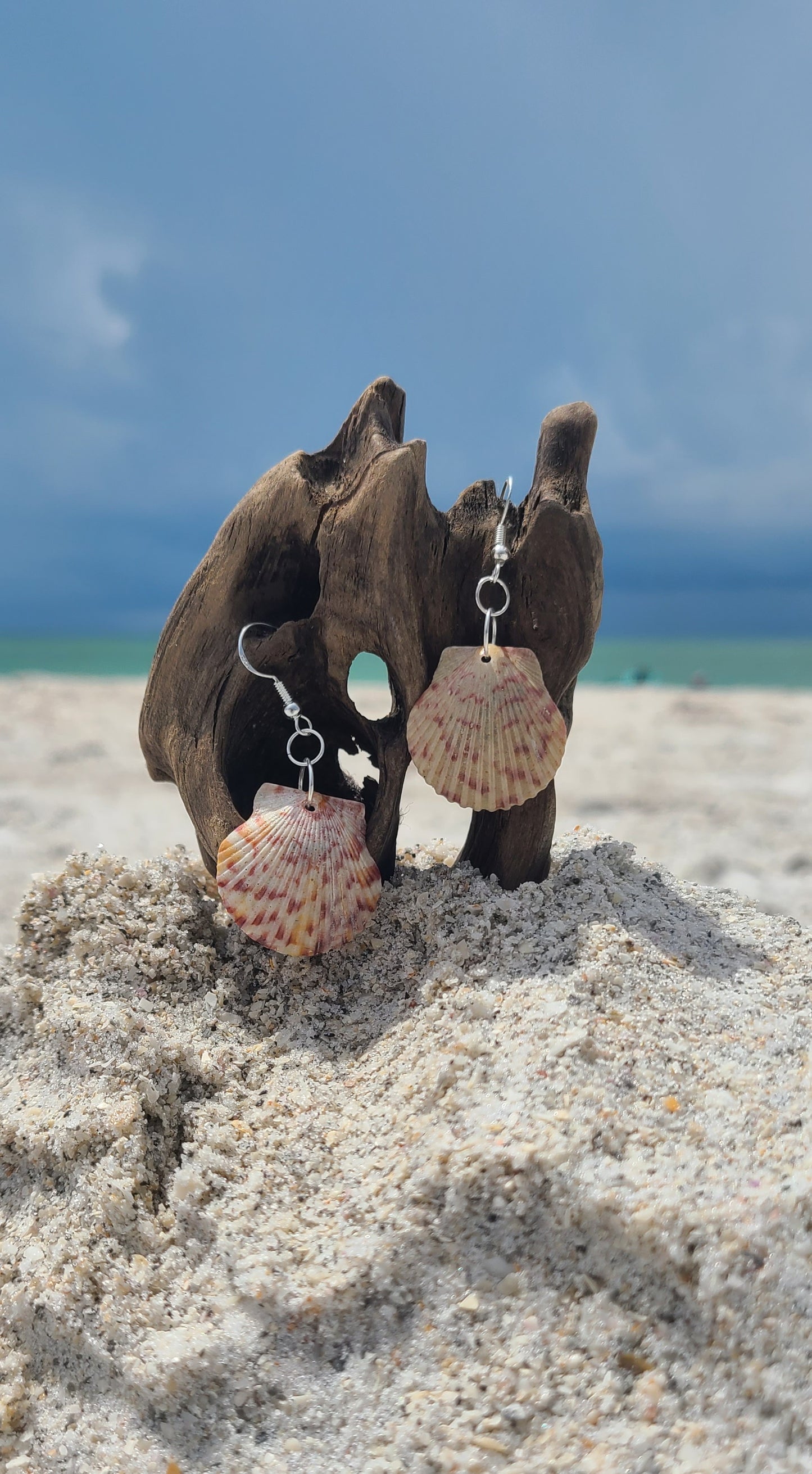 Gray Calico Scallop Shell Drop Earrings (purple with grayish tints)