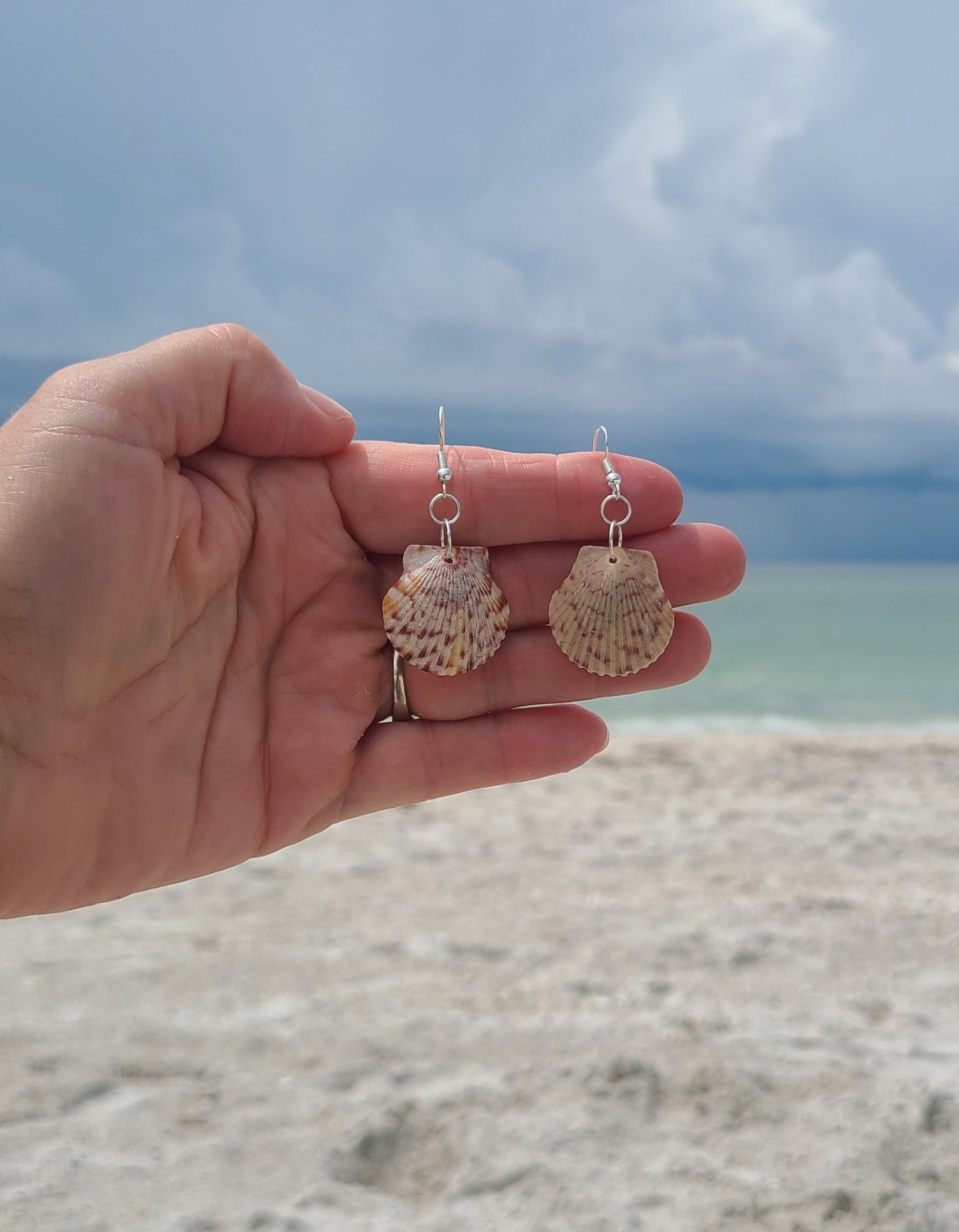 Gray Calico Scallop Shell Drop Earrings (purple with grayish tints)