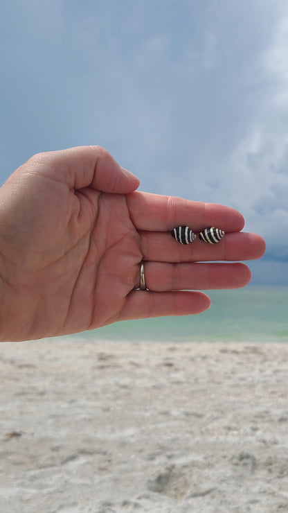 Bee Hive Snail Shell Stud Earrings