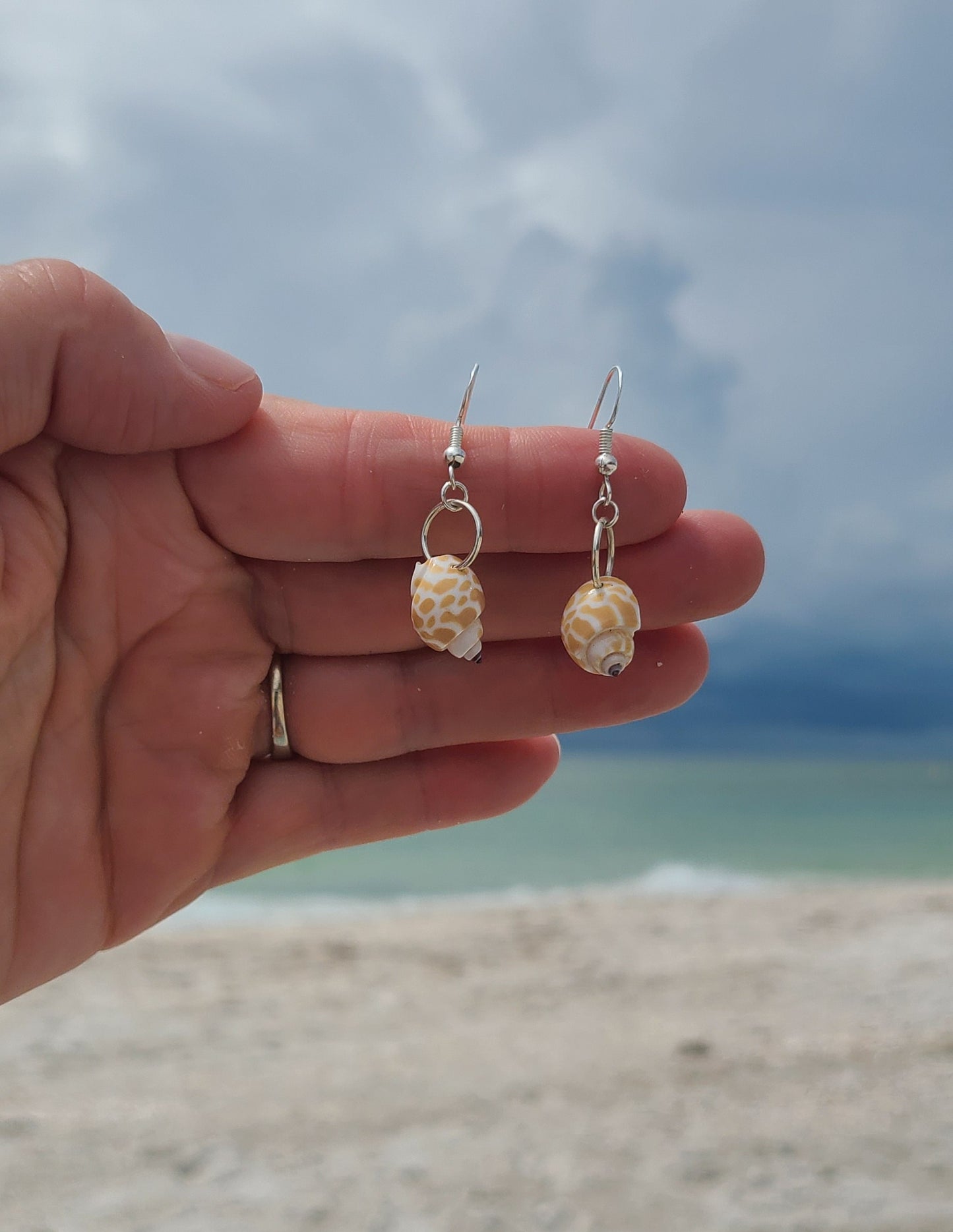 Dainty Giraffe Babylonia Drop Shell Earrings