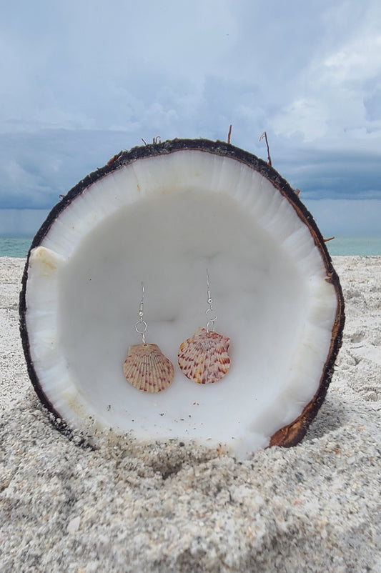 Gray Calico Scallop Shell Drop Earrings (purple with grayish tints)