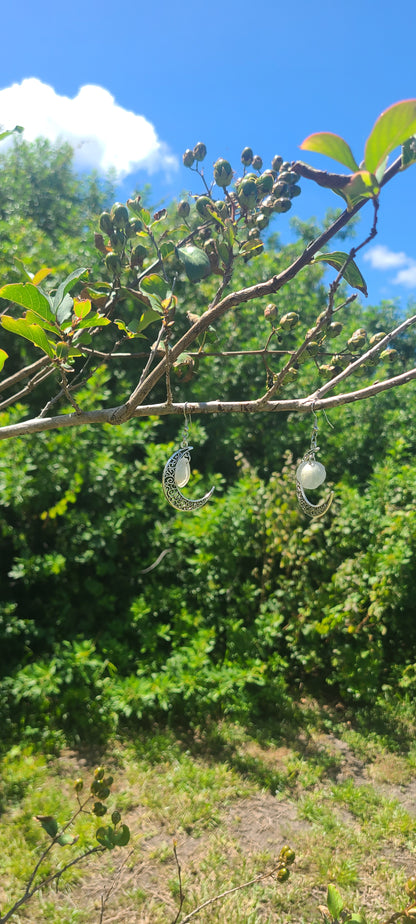 Stunning Cream Jingle Shell Moon Dangle Earrings.