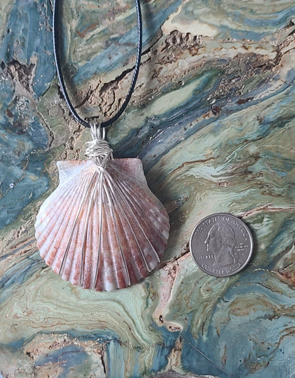 Beautiful Wrapped Bay Scallop Necklace