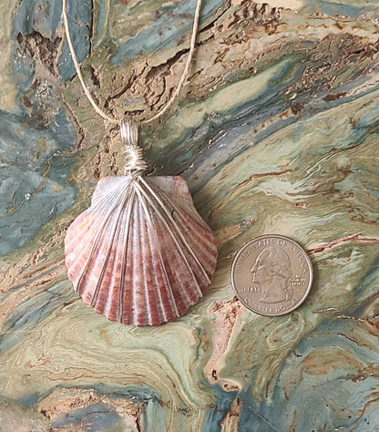 Beautiful Wrapped Bay Scallop Necklace