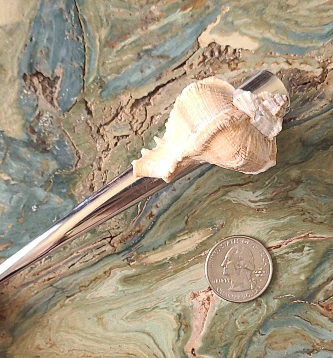 Large Silver Hairclip with a Beautiful Large Murex Shell