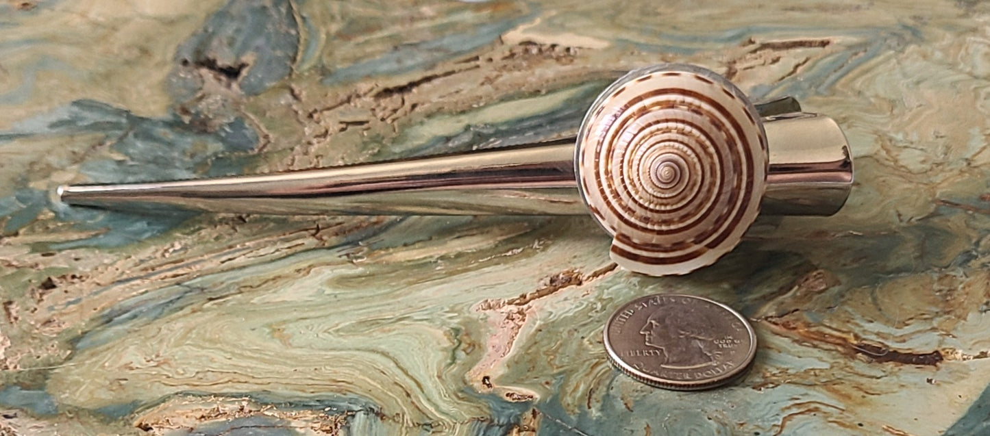 Large Silver Hairclip with a Beautiful Clear Sundial Shell