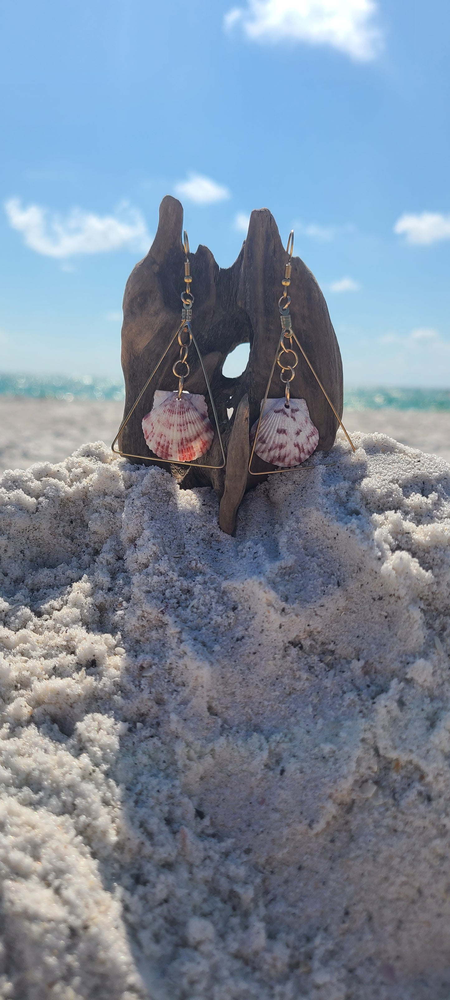 Calico Scallop Shell with Triangle Gold Dangle Earrings