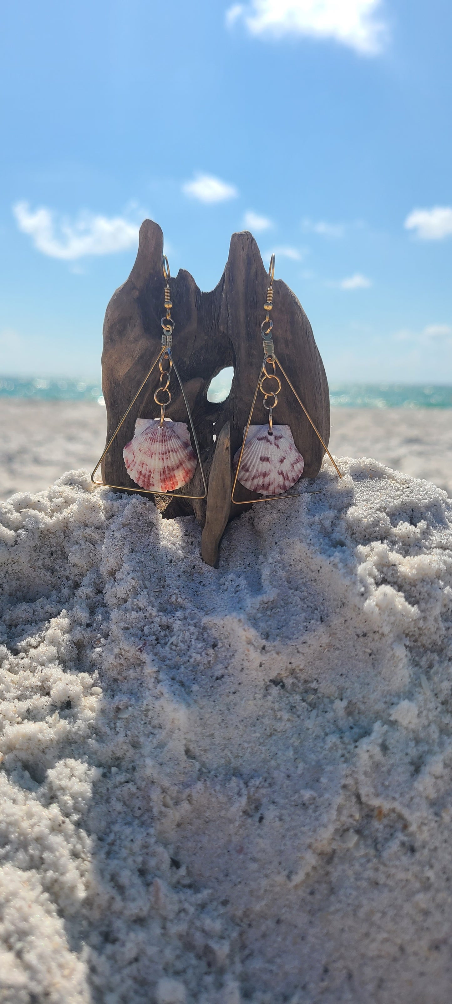 Calico Scallop Shell with Triangle Gold Dangle Earrings