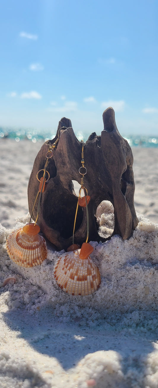 Original Small Cockle Shell Dangle Gold Earrings with Orange Colored Stones