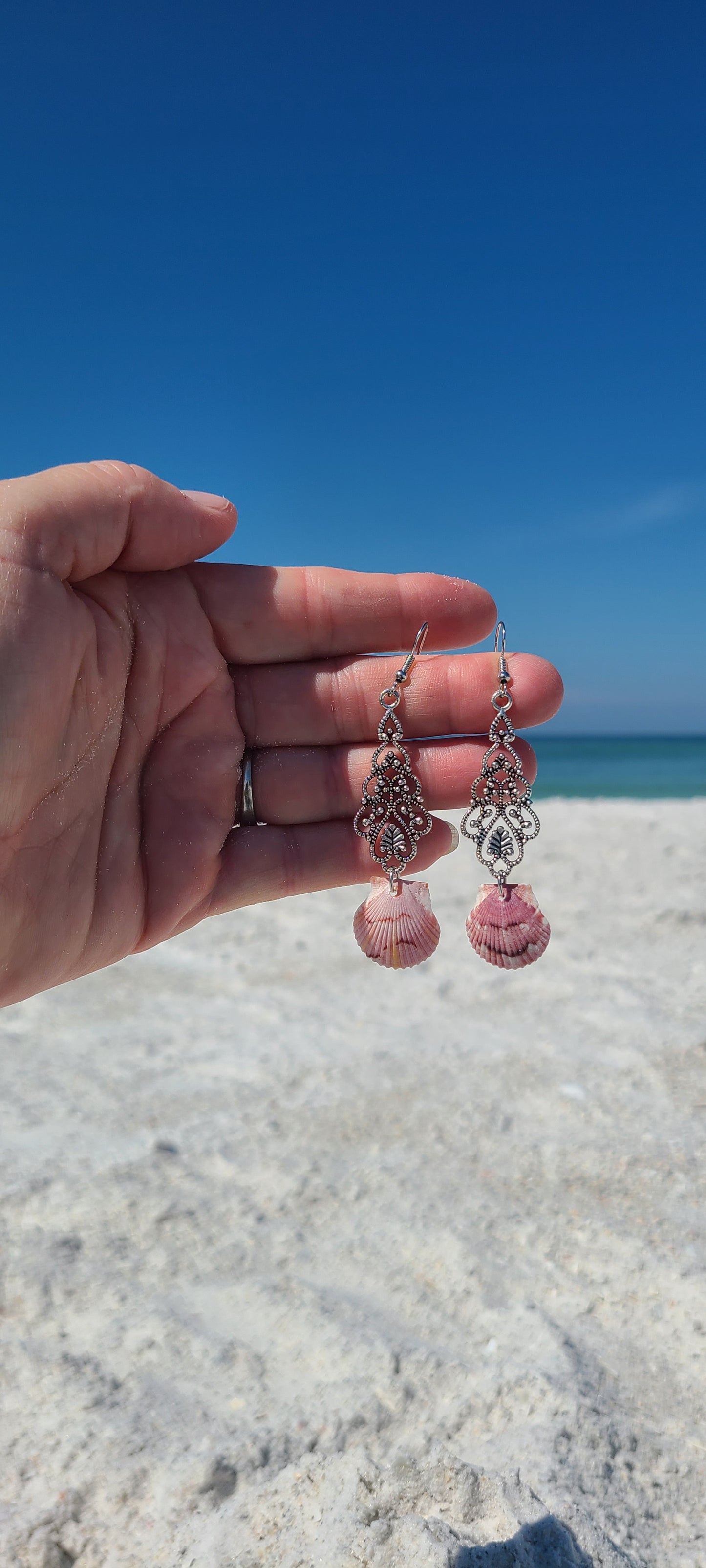 Beautiful Colored Scallop Shell Dangle Earrings