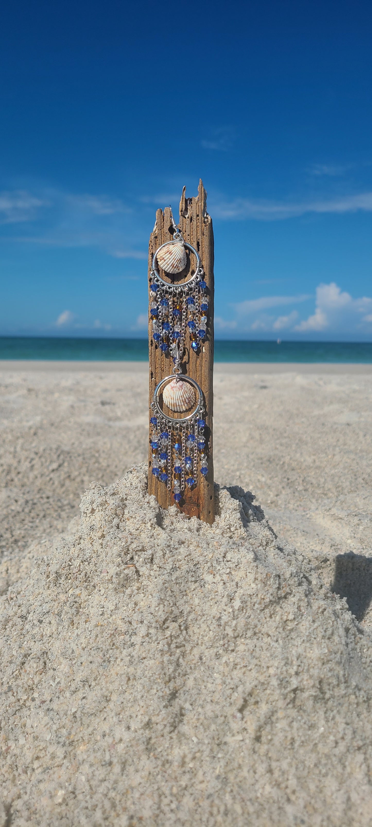 Beachy Prickly Florida Cockle Shell Chandelier Earrings