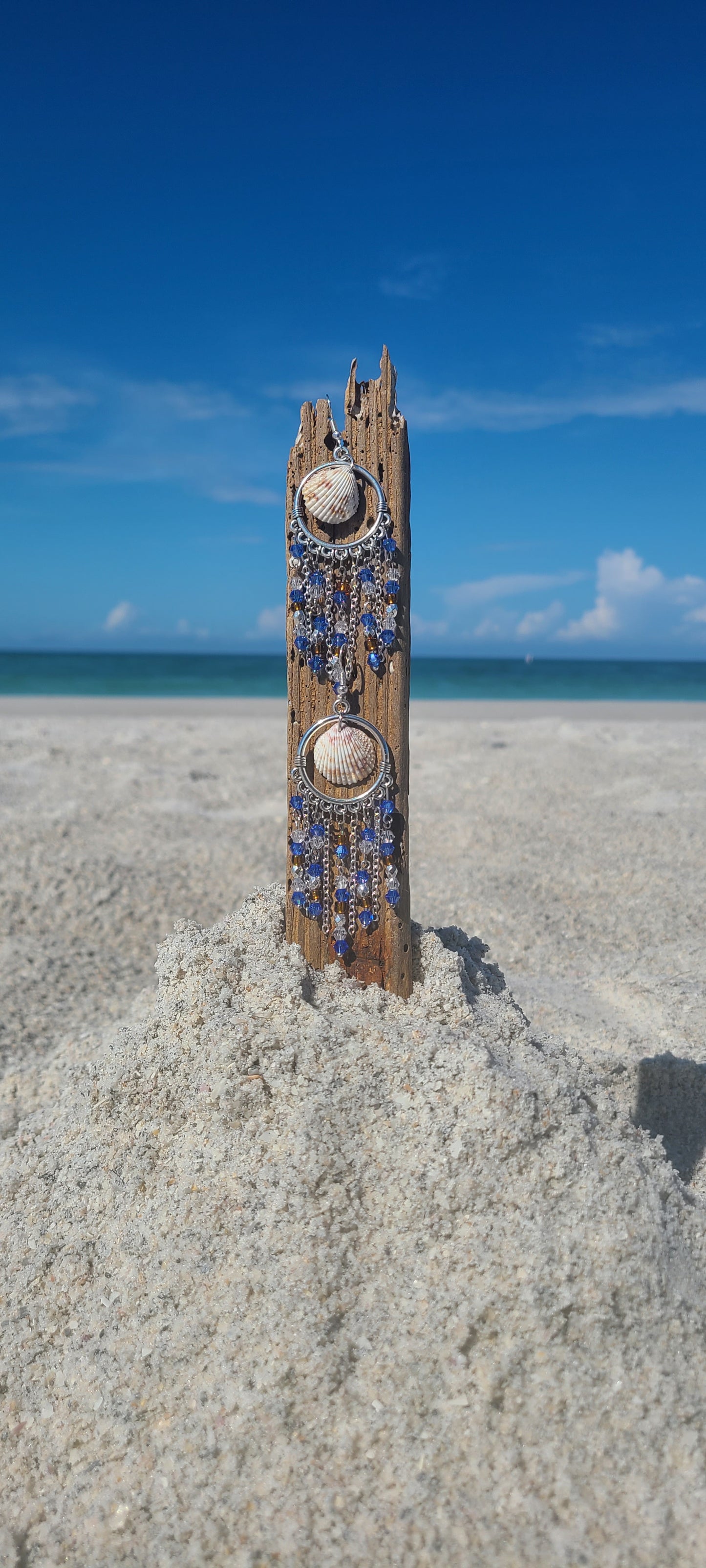 Beachy Prickly Florida Cockle Shell Chandelier Earrings