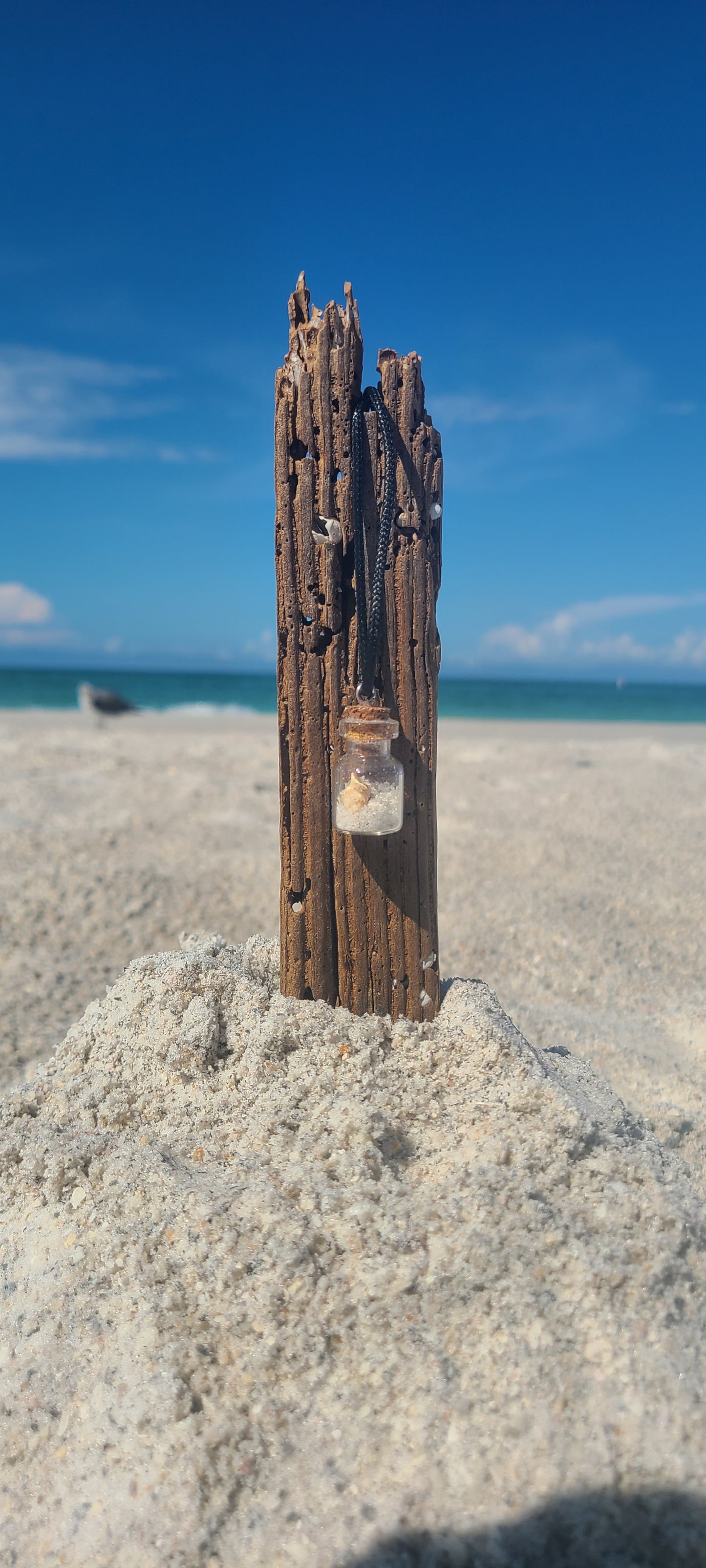 Beach Sand and Shell Necklace