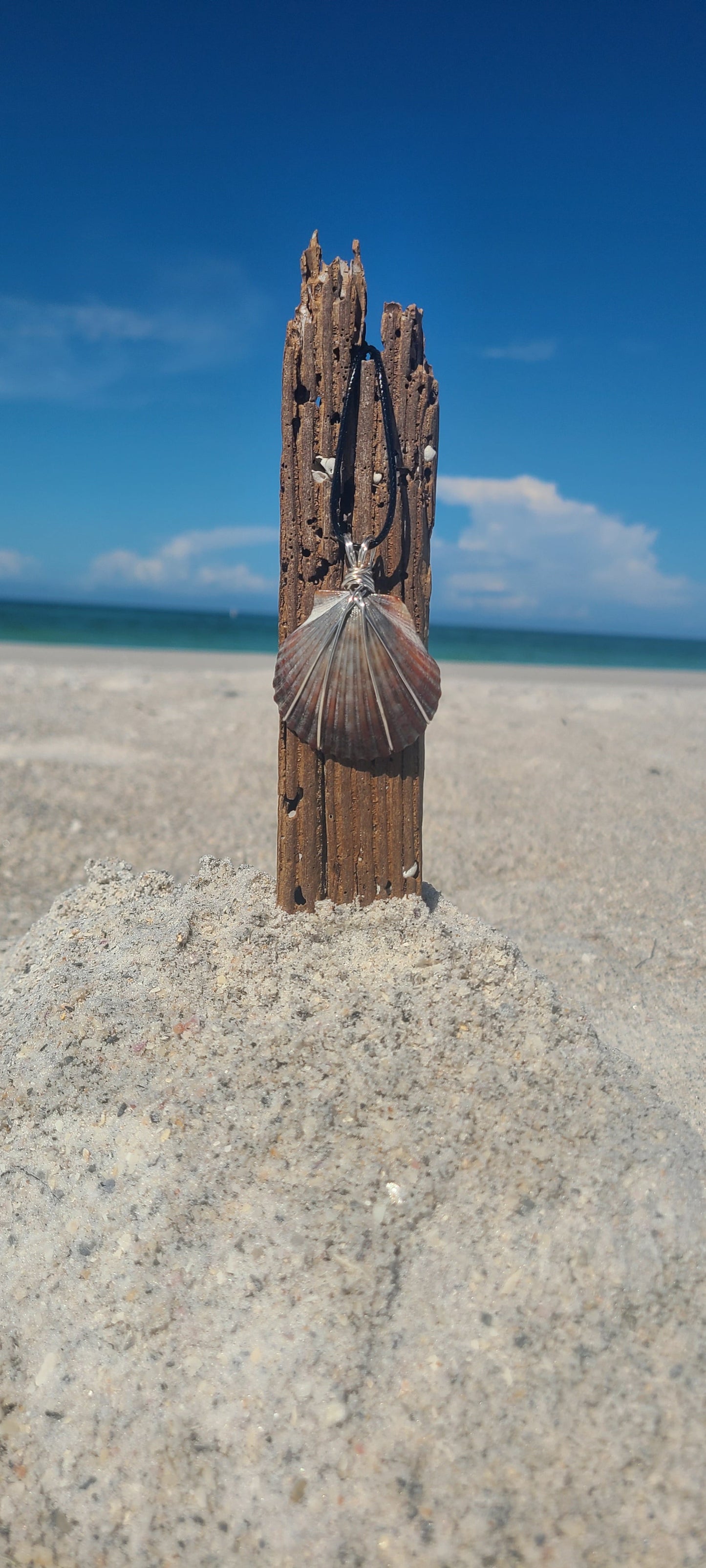 Beautiful Wrapped Bay Scallop Necklace