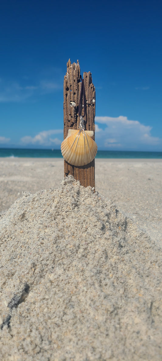 Elegant Cream Scallop Shell Necklace